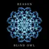 Blind Owl - Reason - Single